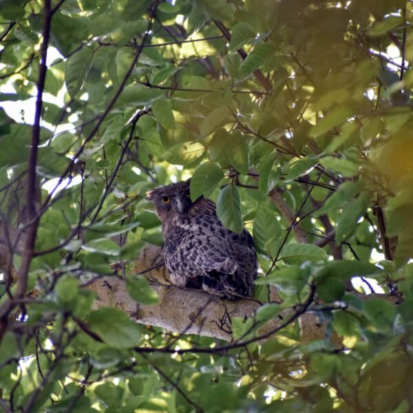 WhatsApp Image 2023-11-22 at 6.16.04 AM (1)