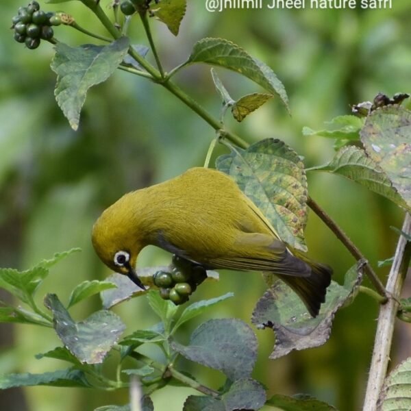 WhatsApp Image 2023-11-22 at 6.16.04 AM (2)