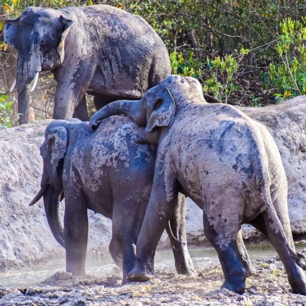 WhatsApp Image 2023-11-22 at 6.16.04 AM