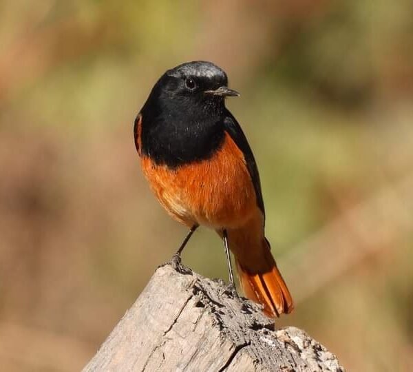 WhatsApp Image 2023-11-22 at 6.16.07 AM