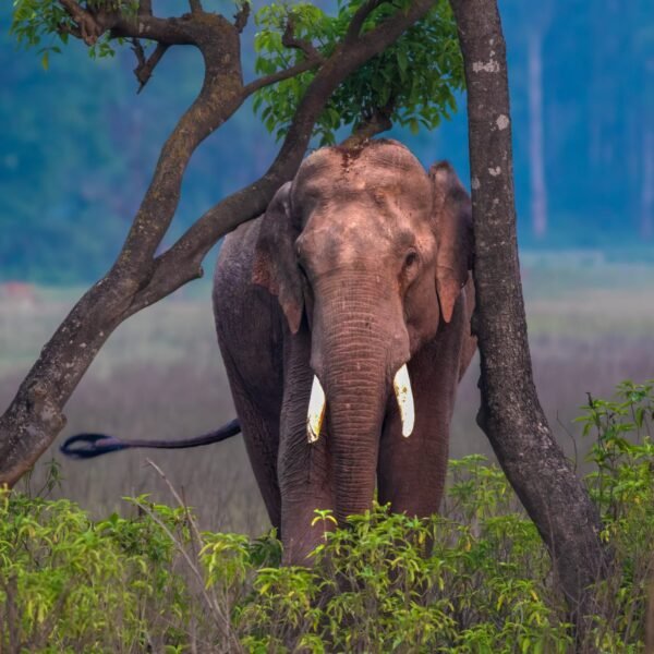 WhatsApp Image 2023-11-28 at 12.14.21 PM