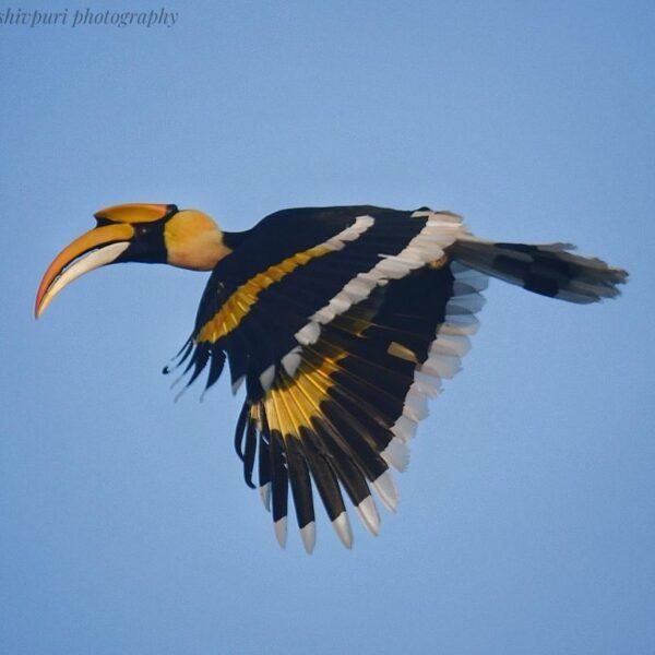 WhatsApp Image 2023-11-28 at 12.14.42 PM