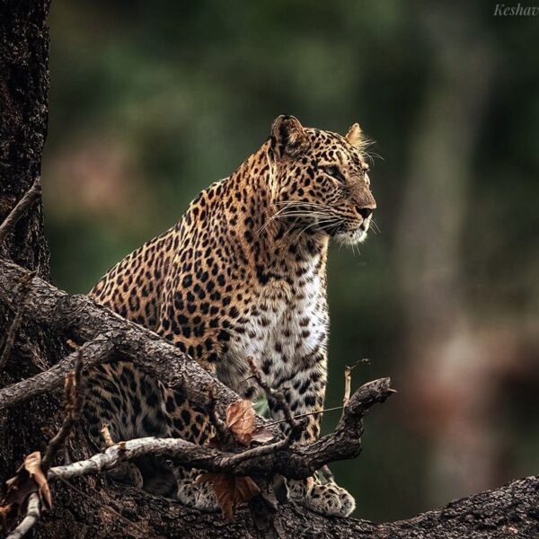 WhatsApp Image 2023-11-28 at 12.14.47 PM (1)