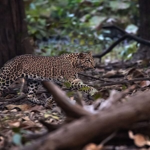 WhatsApp Image 2023-11-28 at 12.14.47 PM