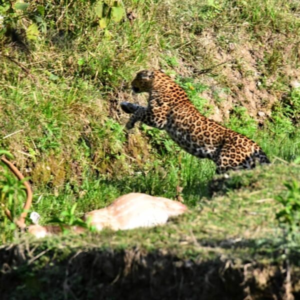 WhatsApp Image 2023-11-28 at 12.16.05 PM