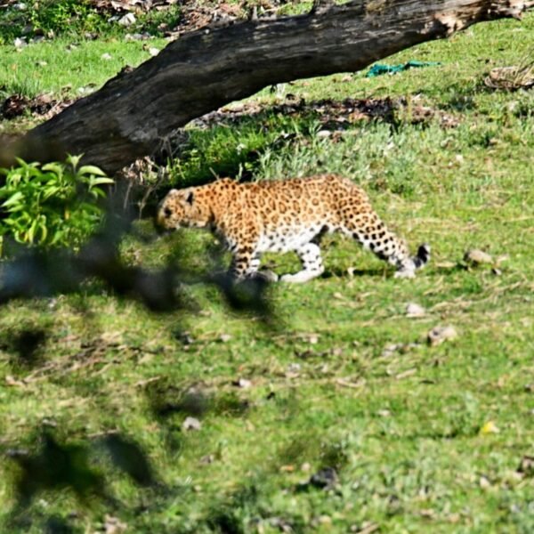 WhatsApp Image 2023-11-28 at 12.16.06 PM